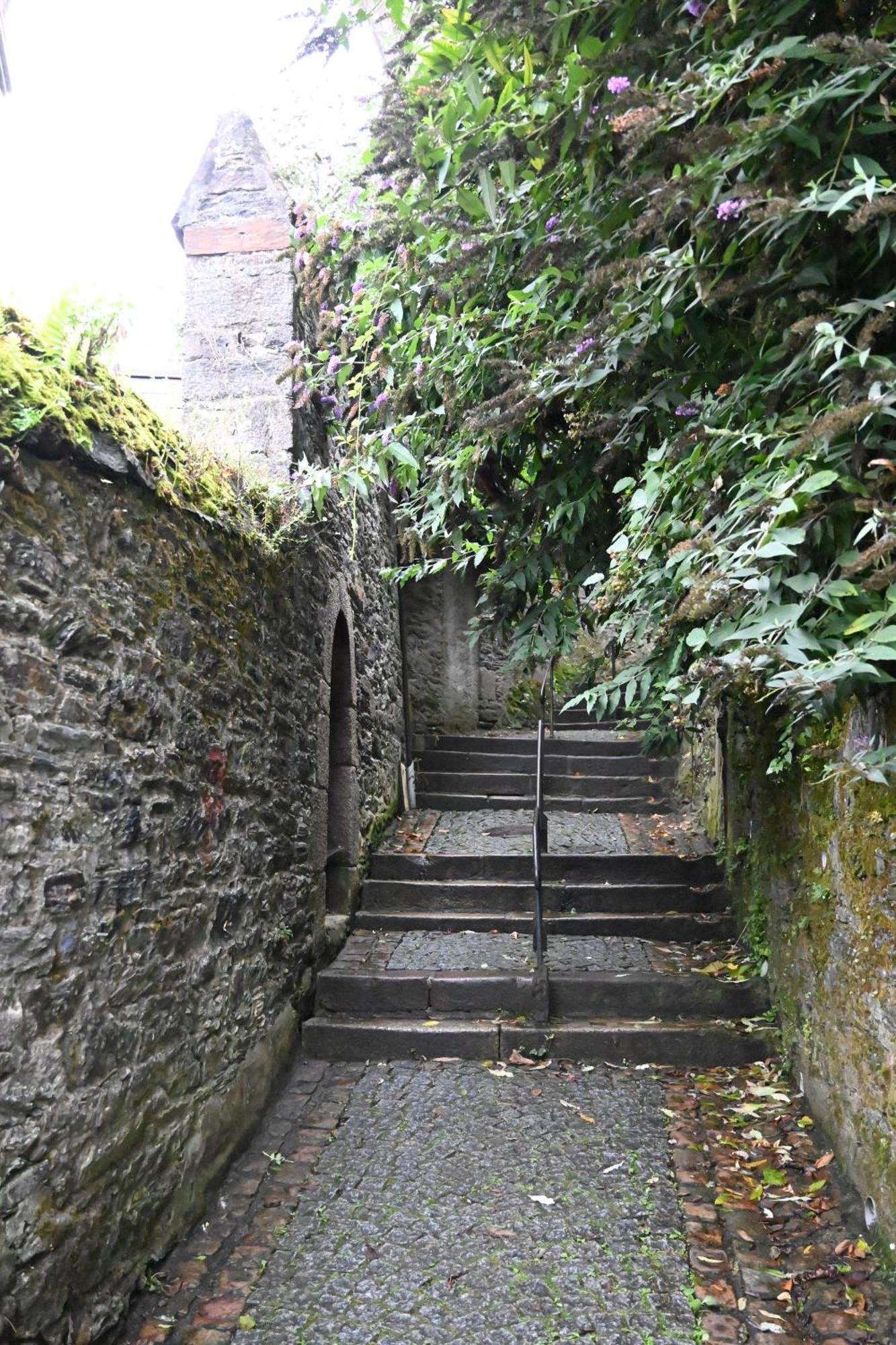 Jardin Madeleine Apartment Morlaix Exterior photo